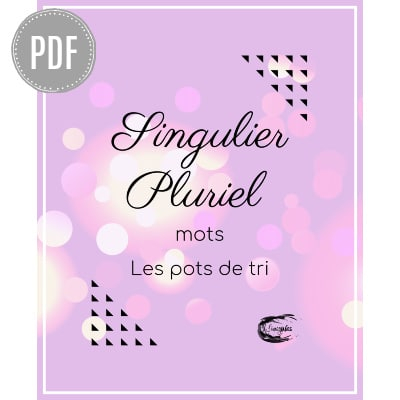 PDF — SINGULIER-PLURIEL | LES POTS DE TRI