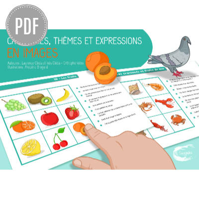 PDF — CATÉGORIES, THÈMES ET EXPRESSIONS