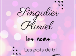 PDF — SINGULIER-PLURIEL | LES POTS DE TRI