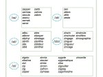 PDF — ARTICULATION /Z/