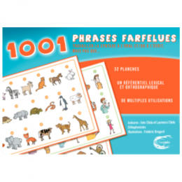 1001 PHRASES FARFELUES