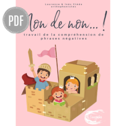 PDF — NON DE NON !